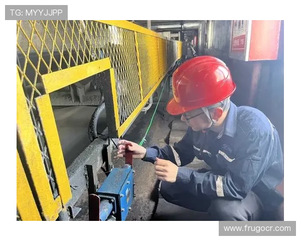 安博真人官方技术支持团队介绍，专业保障平台稳定运行与安全防护